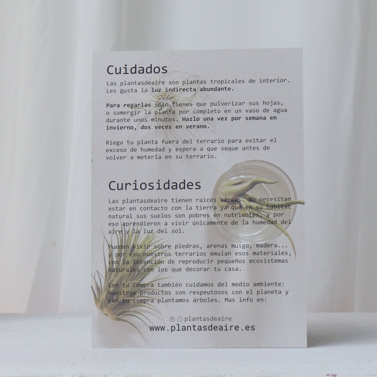 pack premium sorpresa