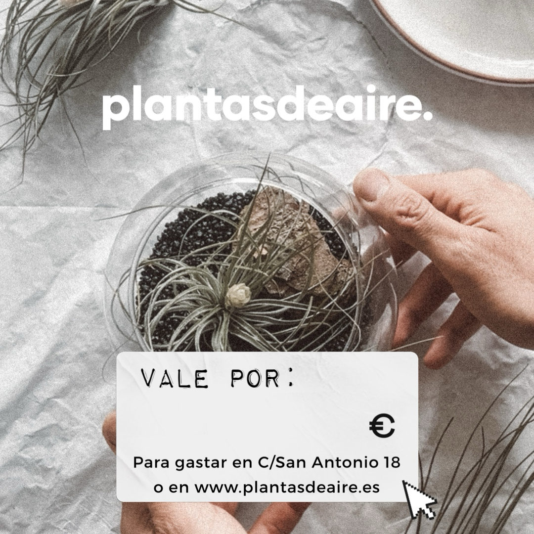 Plantilla de vale digital opara descuento en la tienda de plantas de aire en gijón