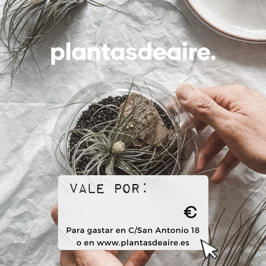 Tarjeta Regalo 🌱