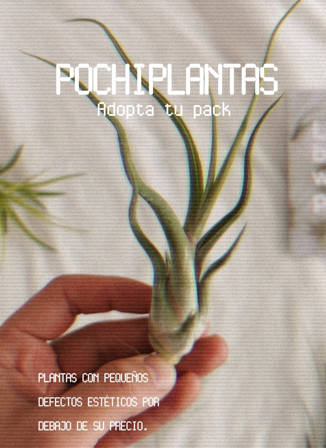pochiplantas