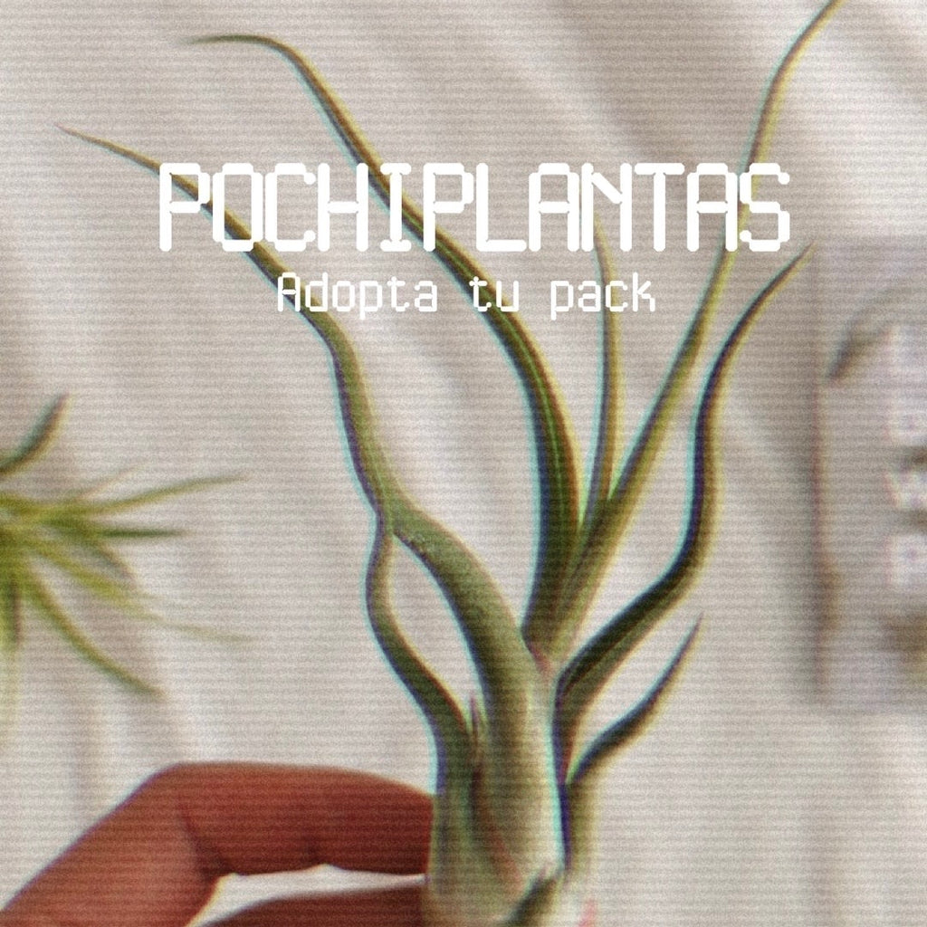 pochiplantas