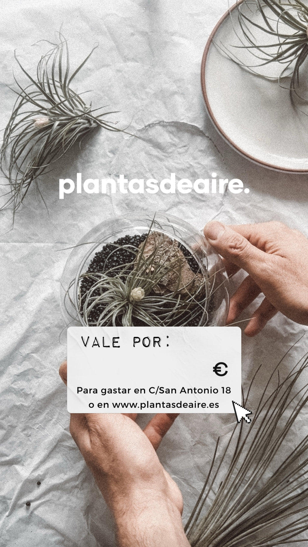 Plantilla de vale digital opara descuento en la tienda de plantas de aire en gijón formato storie