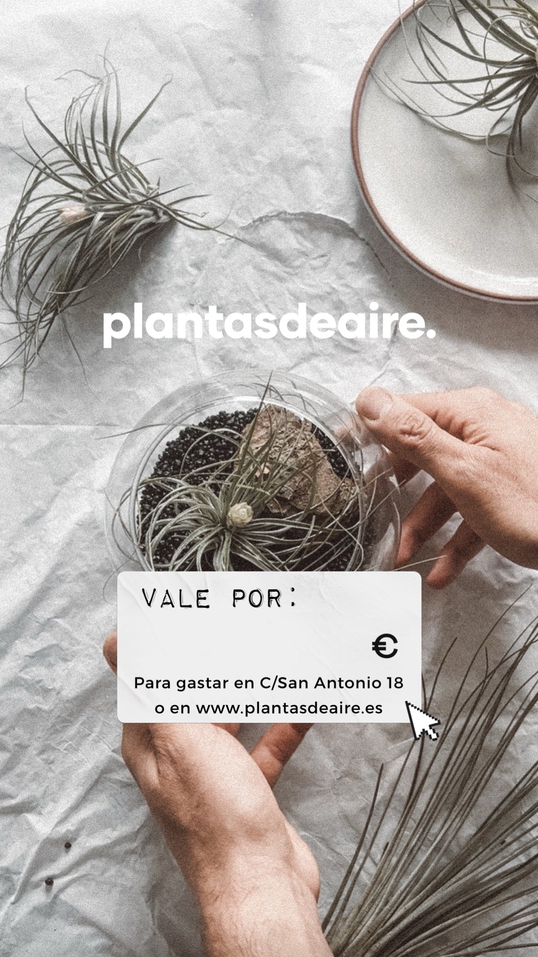 Plantilla de vale digital opara descuento en la tienda de plantas de aire en gijón formato storie