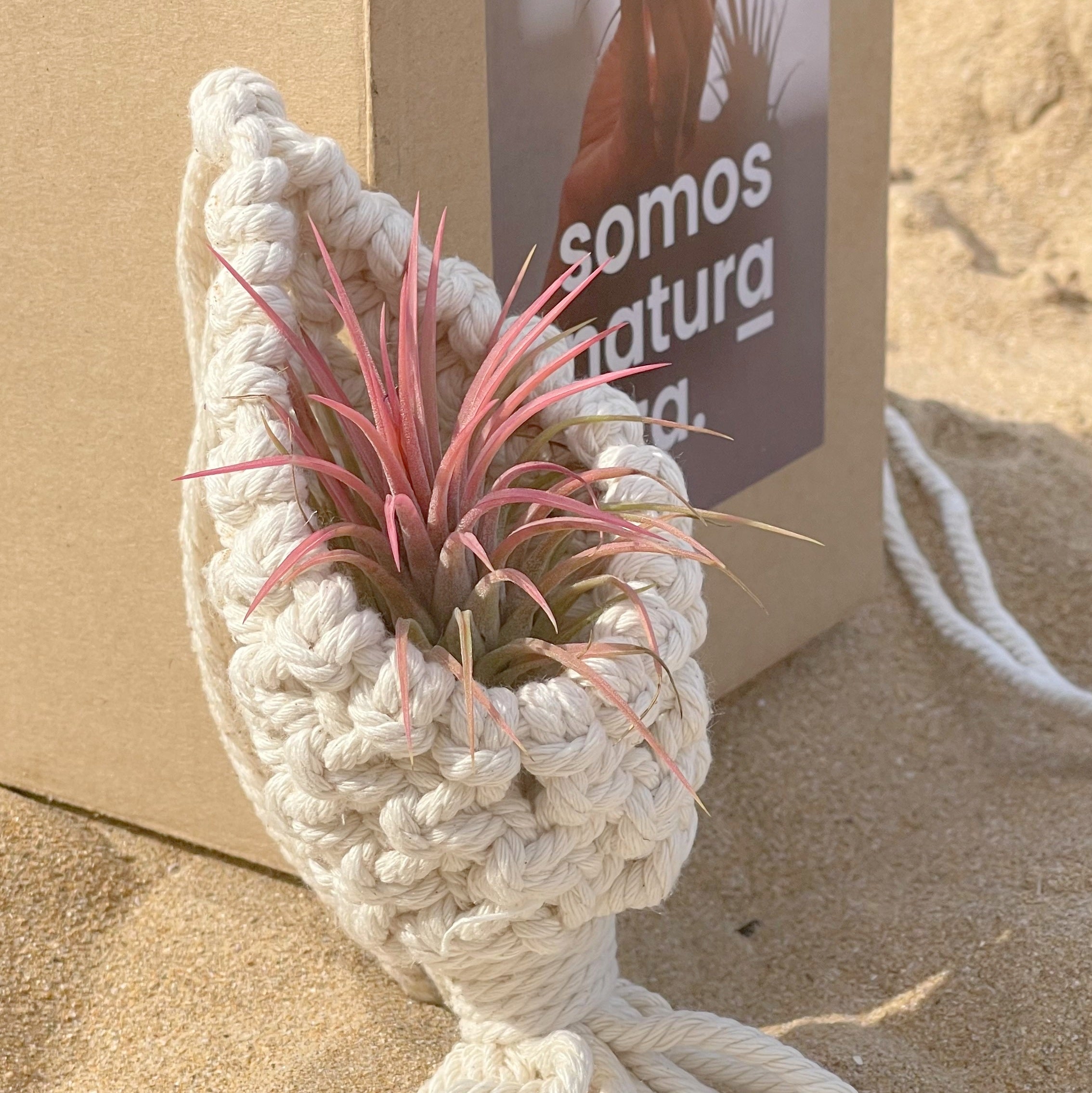 macramé playa