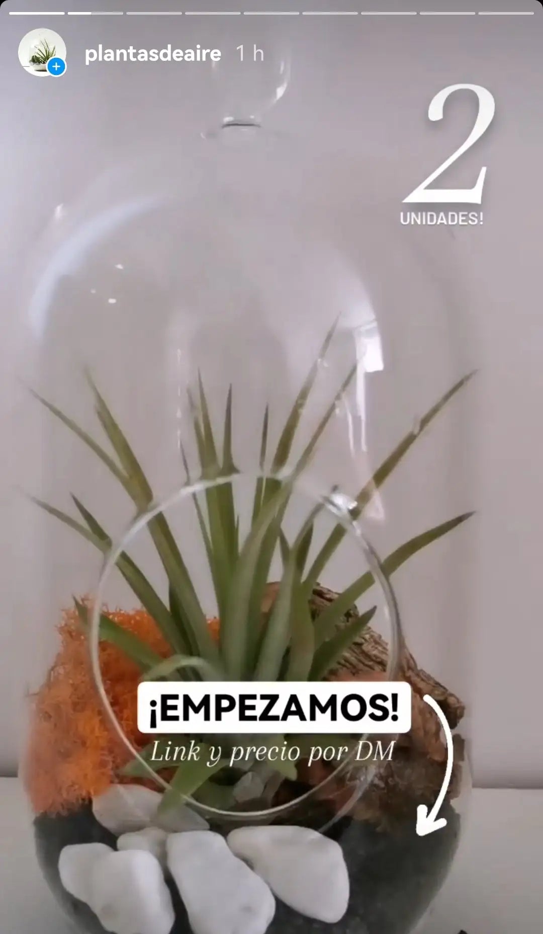 Captura de instagram plantasdeaire Empezamos, link y porecio por DM. 2 Unidades