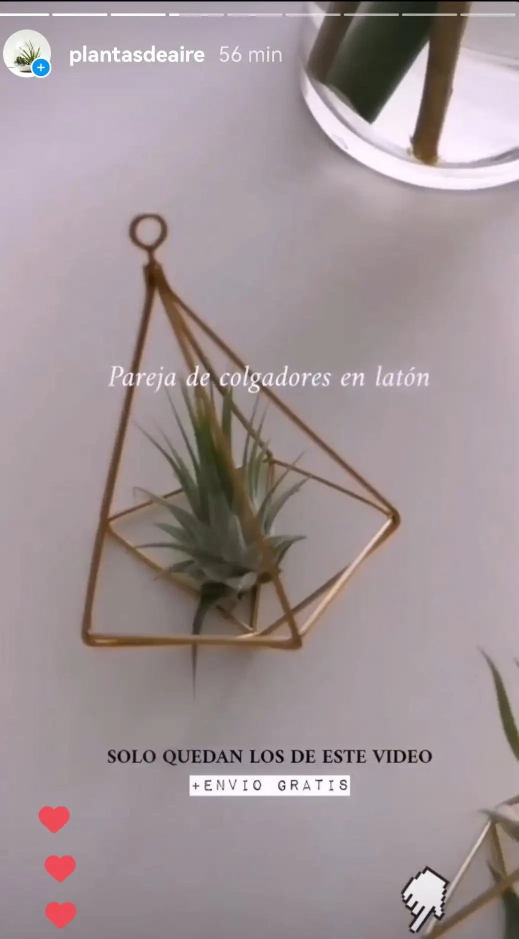 Captura instagram plantasdeaire pareja de colgastes de latón