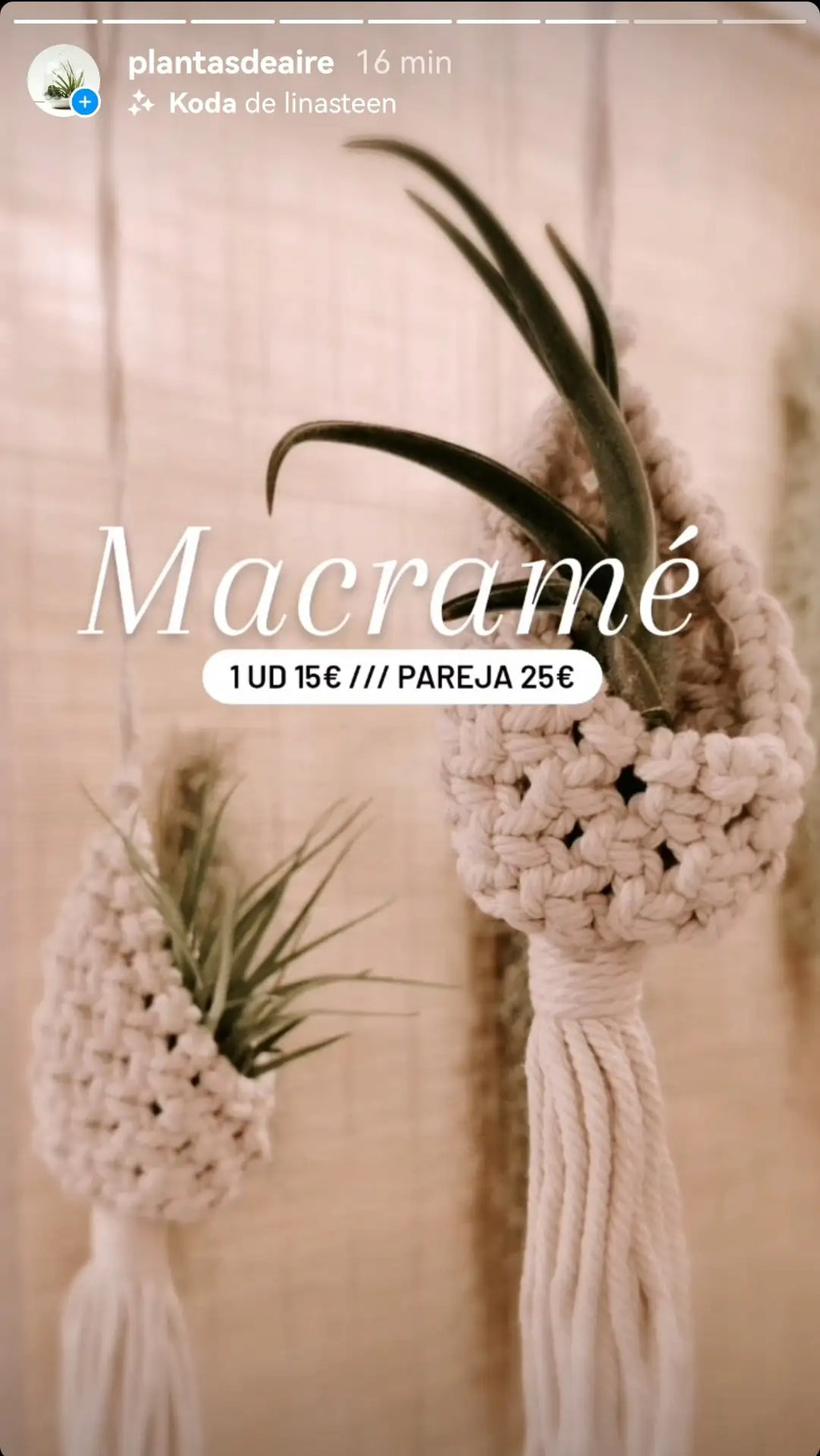 Captura de instagram de plantasdeaire macramé 