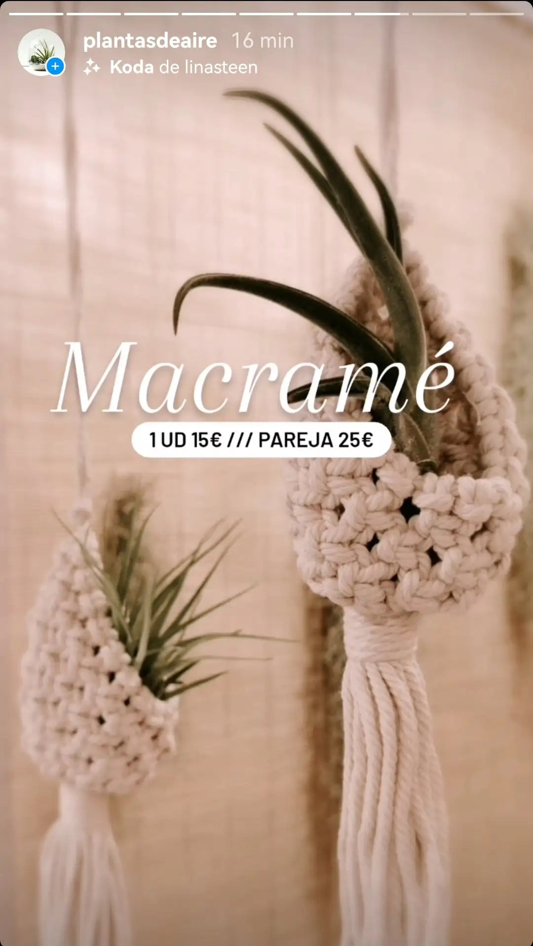 Captura de instagram de plantasdeaire macramé 