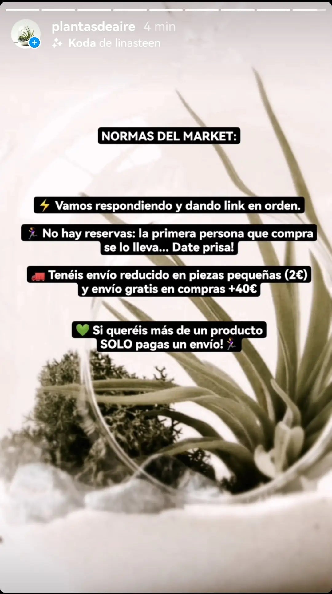 Captura instagram plantasdeaire ¨normas del market¨