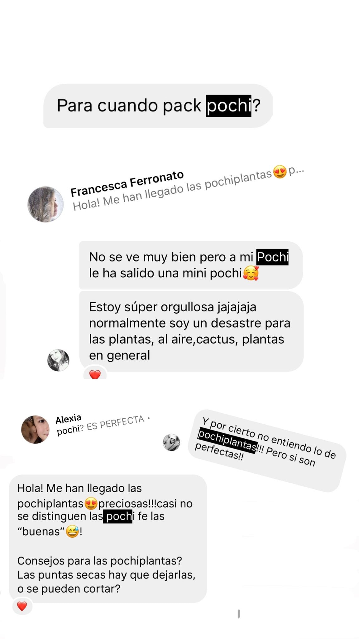 pochiplantas