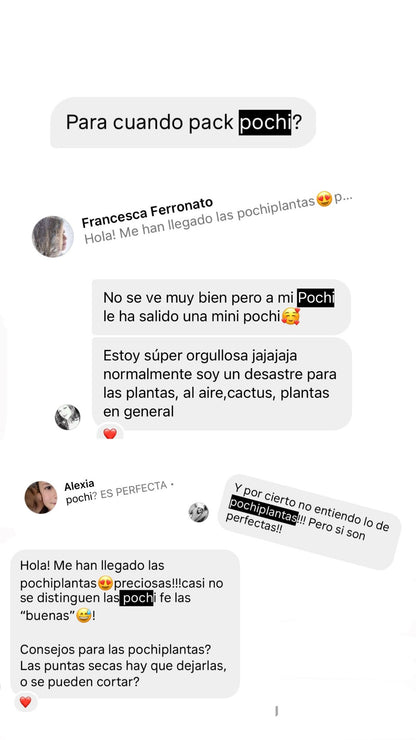 pochiplantas