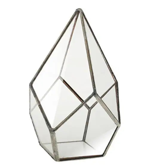 terrario geometrico cristal y metal de plantas de aire