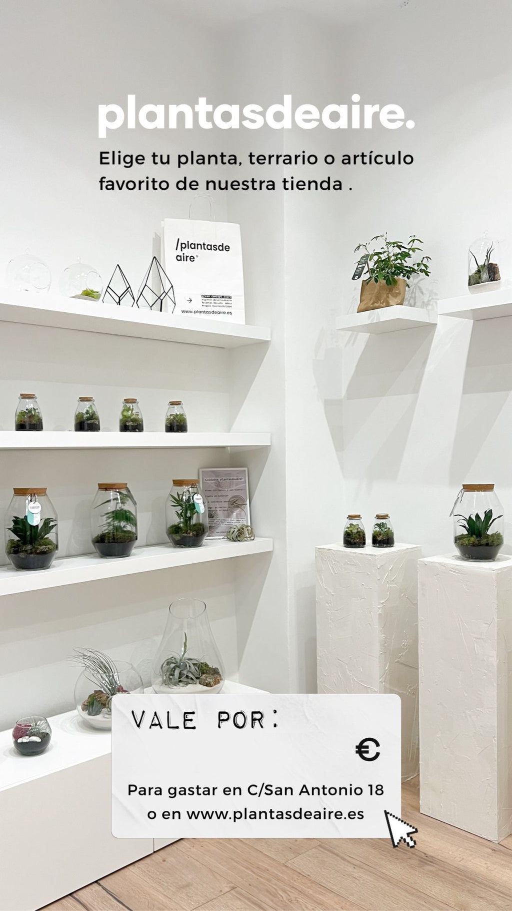 tarjeta regalo plantas de aire gijón