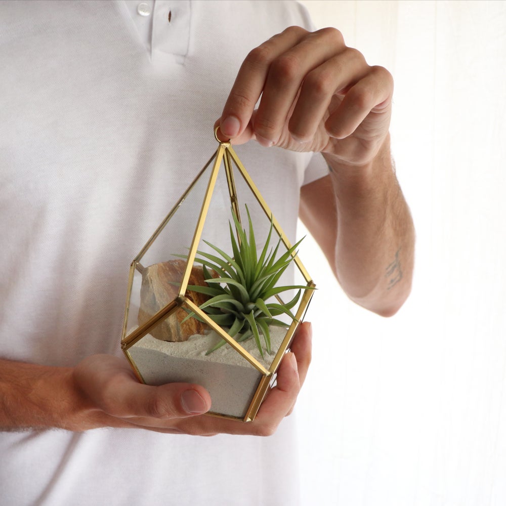terrario geometrico dorado con planta epifita tillandsia multiflora sin tierra, sobre base de arena