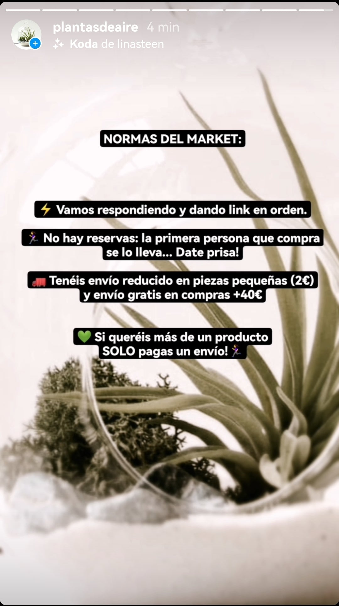 MINI MARKET