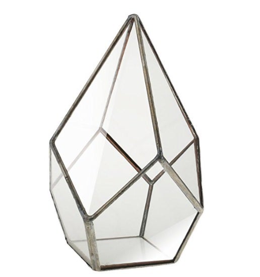 terrario geometrico cristal y metal de plantas de aire