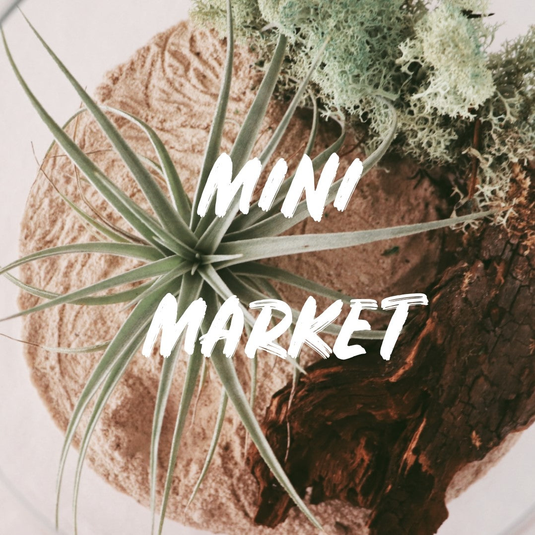 MINI MARKET