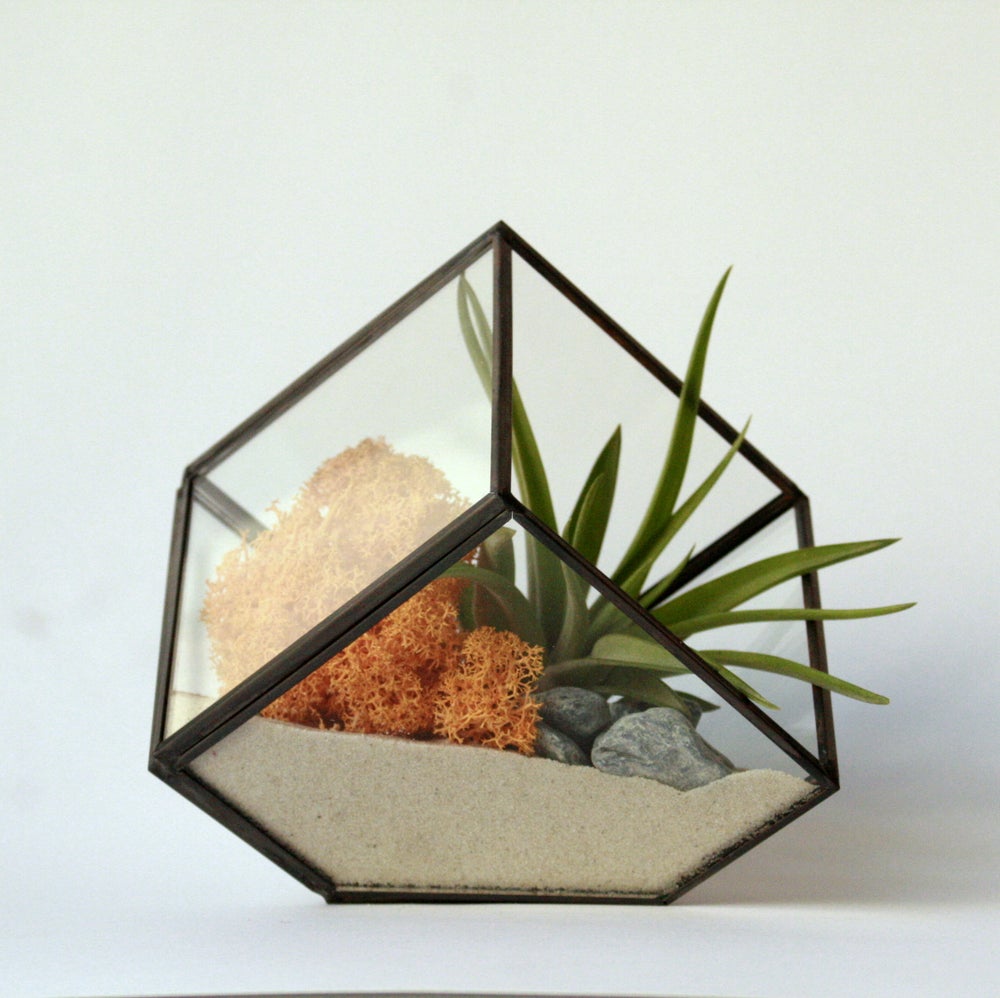 terrario geometrico de cristal y metal con forma de cubo, composición con arena, liquen de islandia mosaza y amarillo y planta multiflora, planta que vive sin tierra ideal para regalo o como detalle de empresa y decoración del hogar o trabajo