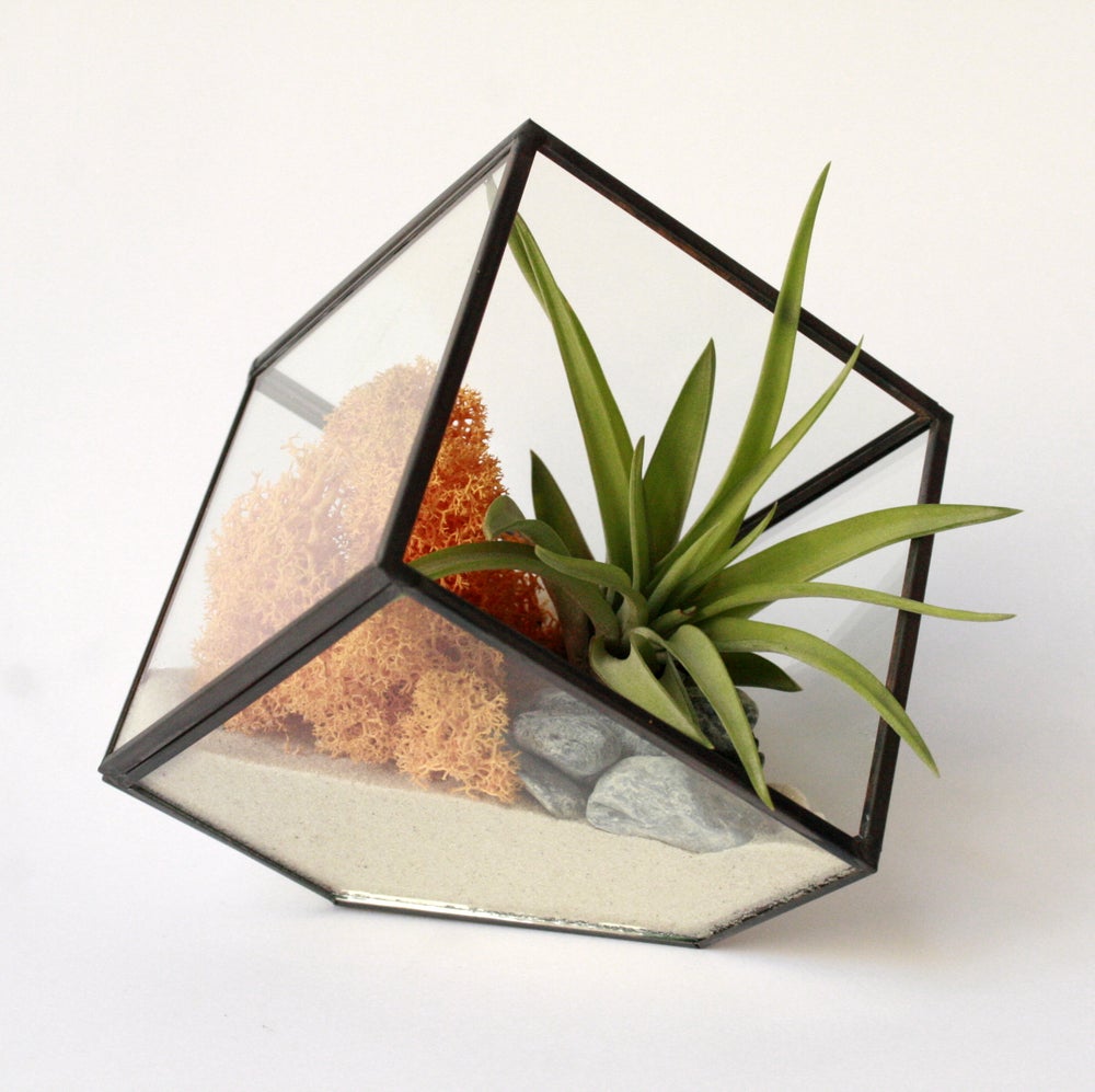 terrario geometric Cube