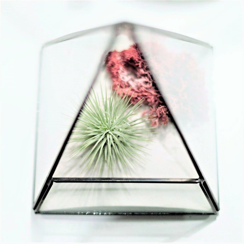 terrario geometrico de cristal y metal con forma de pirámide, composición con arena, liquen de islandia y planta argentea